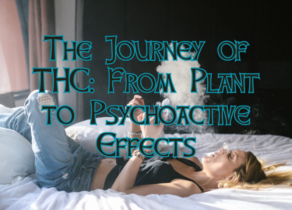 The Journey of THC: From Plant to Psychoactive Effects