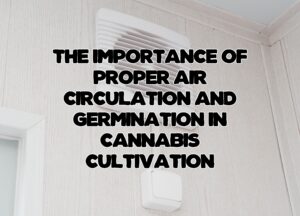 The Importance of Proper Air Circulation and Germination in Cannabis Cultivation