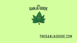 Why TheGanjaGuide.com is the Best Resource for All Things Cannabis