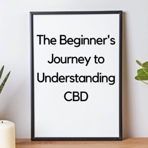 The Beginner&#8217;s Journey to Understanding CBD