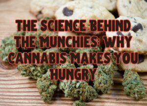 The Science Behind the Munchies: Why Cannabis Makes You Hungry