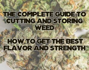 The Complete Guide to Cutting and Storing Weed: How to Get the Best Flavor and Strength