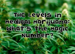 THC Levels in Medical Marijuana: What&#8217;s the Magic Number?