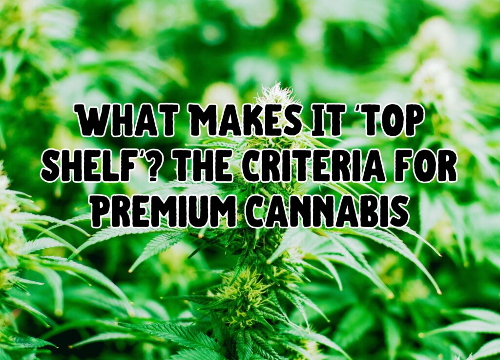 What Makes It &#8216;Top Shelf&#8217;? The Criteria for Premium Cannabis