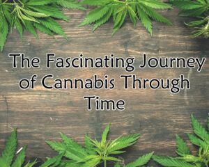 Unearthing the Roots: The Fascinating Journey of Cannabis Through Time