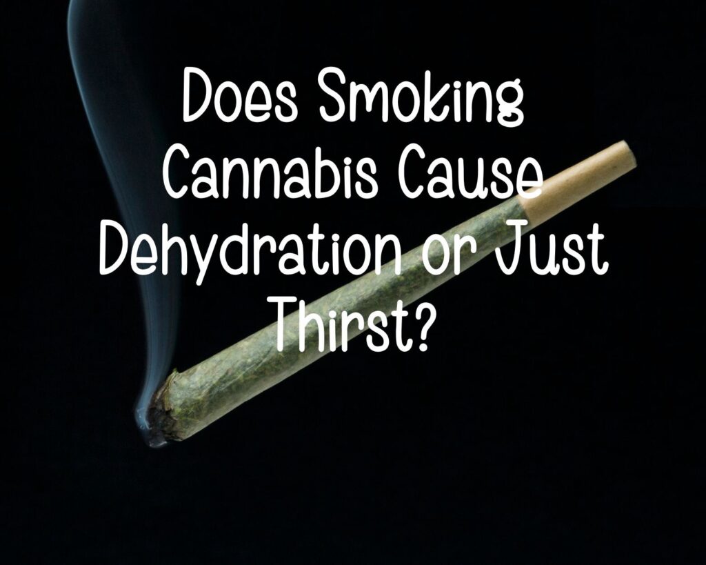 Does Smoking Cannabis Cause Dehydration or Just Thirst?