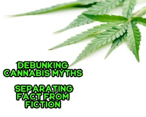 Debunking Cannabis Myths: Separating fact from fiction