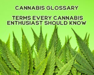 Cannabis Glossary: Terms Every Cannabis Enthusiast Should Know