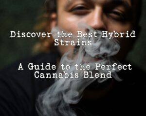 Discover the Best Hybrid Strains: A Guide to the Perfect Cannabis Blend