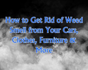 How to Get Rid of Weed Smell from Your Cars, Clothes, Furniture &amp; More