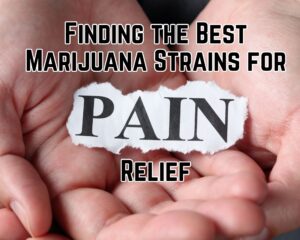 Finding the Best Marijuana Strains for Pain Relief