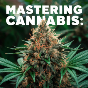 Mastering Cannabis: Secrets to Growing Potent Buds Revealed!