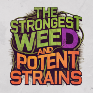 The Strongest Weed and Potent Strains